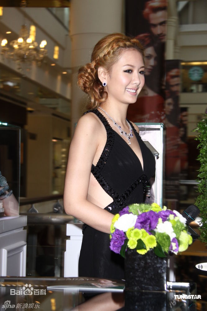 精选柴智屏(Angie Chai)精彩图册