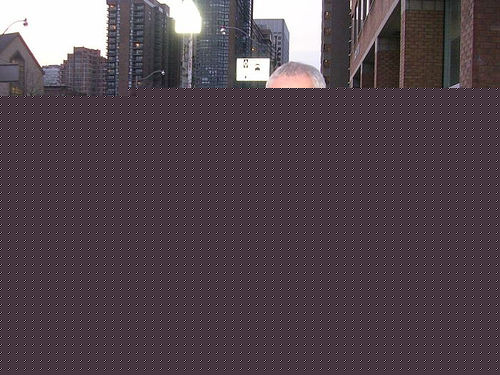 大卫·莫斯(David Morse)生活照生活照相册