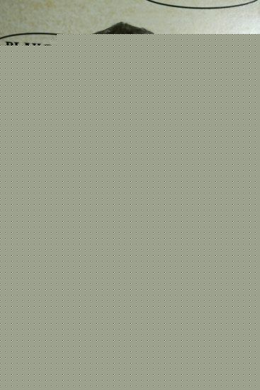 大卫·莫斯(David Morse)生活照生活照相册