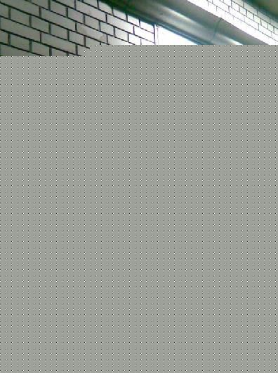 大卫·莫斯(David Morse)生活照生活照相册