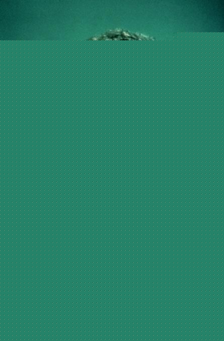 最优质大卫·莫斯(David Morse)大卫·摩斯精彩图册