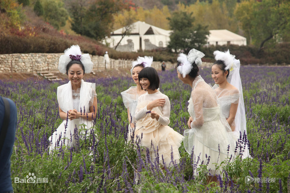 最全苏妙玲(allwan)在微电影《曼陀罗》中的壁纸