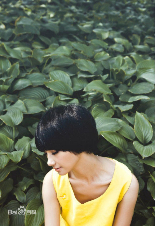 最全苏妙玲(allwan)壁纸