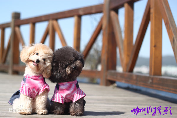 最新苏妙玲(allwan)精彩图册