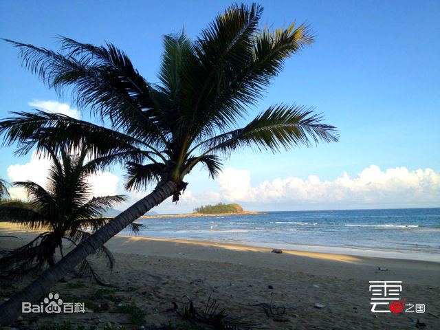 最新王鸣飞(Fay)在电影《梦幻岛》（曾用名《海澜》）中的图集