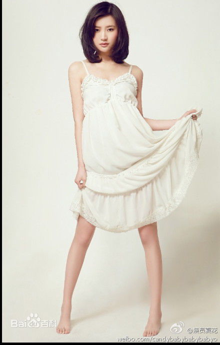 夏花(Summer flowers)高清图集