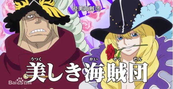 精选卡文迪许(日文：キャベンディッシュ<br>英文：Cavendish)