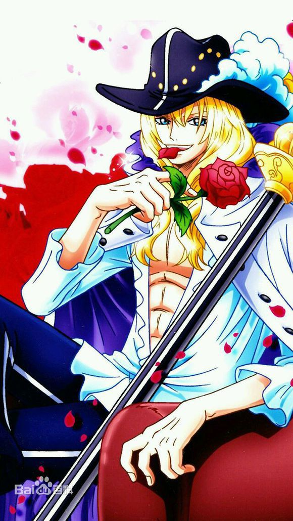 精选卡文迪许(日文：キャベンディッシュ<br>英文：Cavendish)