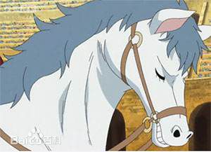 精选卡文迪许(日文：キャベンディッシュ<br>英文：Cavendish)