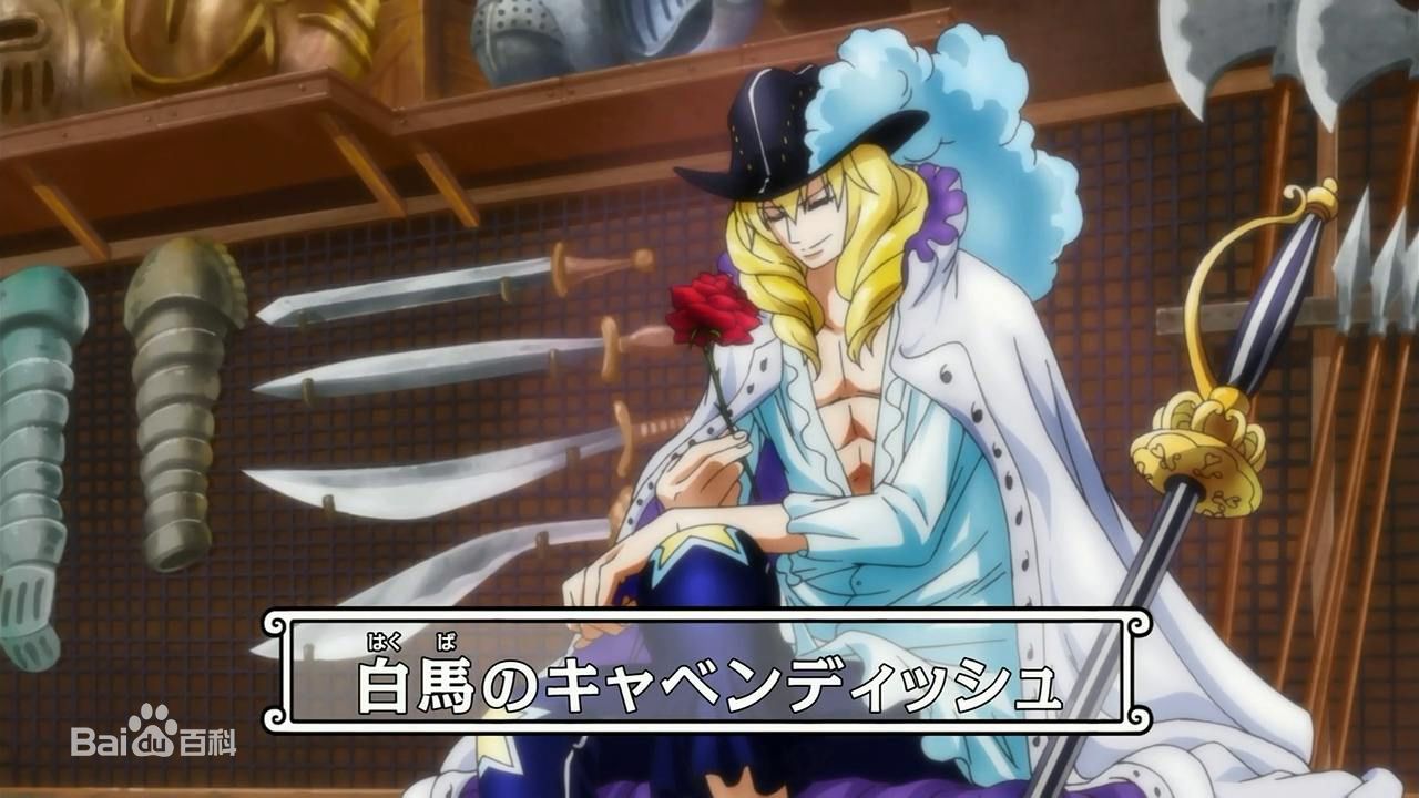 精选卡文迪许(日文：キャベンディッシュ<br>英文：Cavendish)