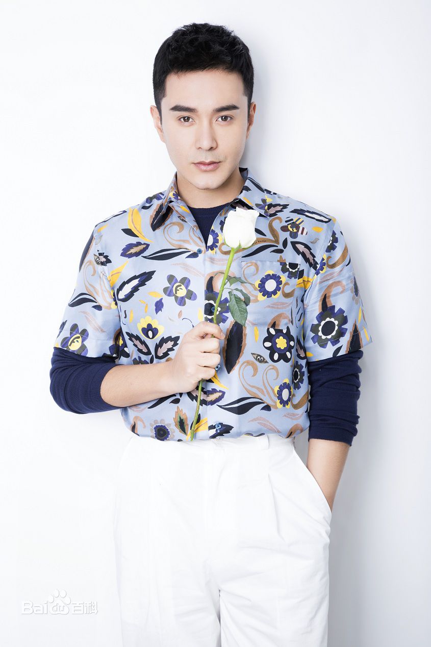 王铭铎(Aaron)最新花衬衣壁纸