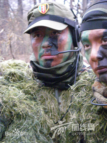 最全周惠林壁纸