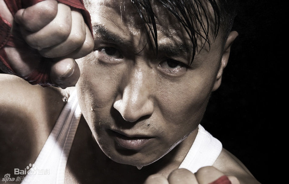 张笑君 拳击图册