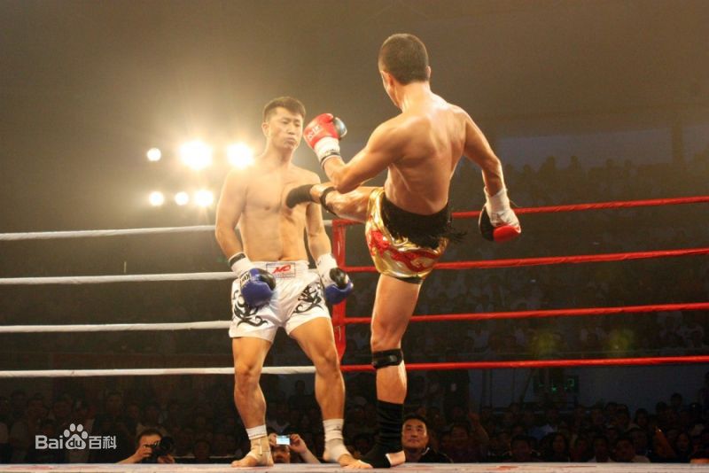 张笑君 拳击图册