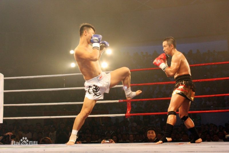 张笑君 拳击图册