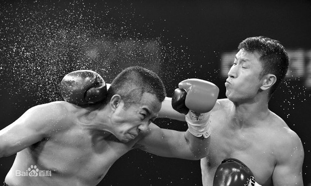 张笑君 拳击图册