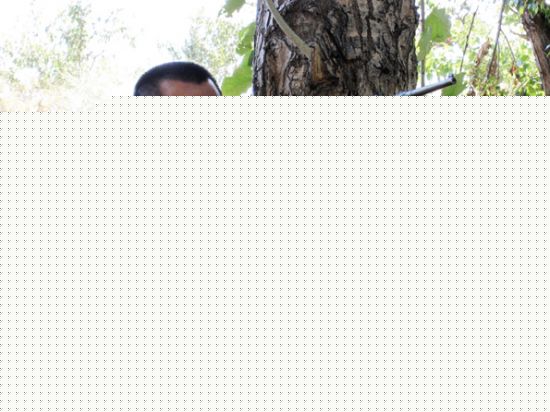 最新张笑君精彩图册