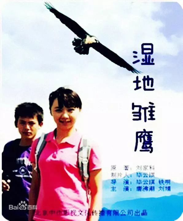 最新刘婧(suki)壁纸