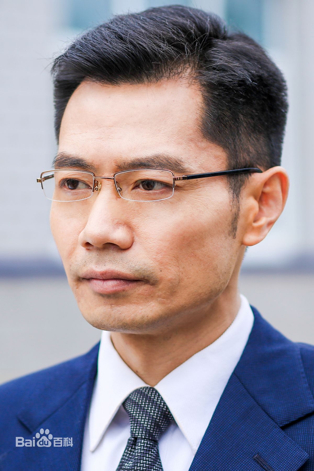 何强我的图册图册