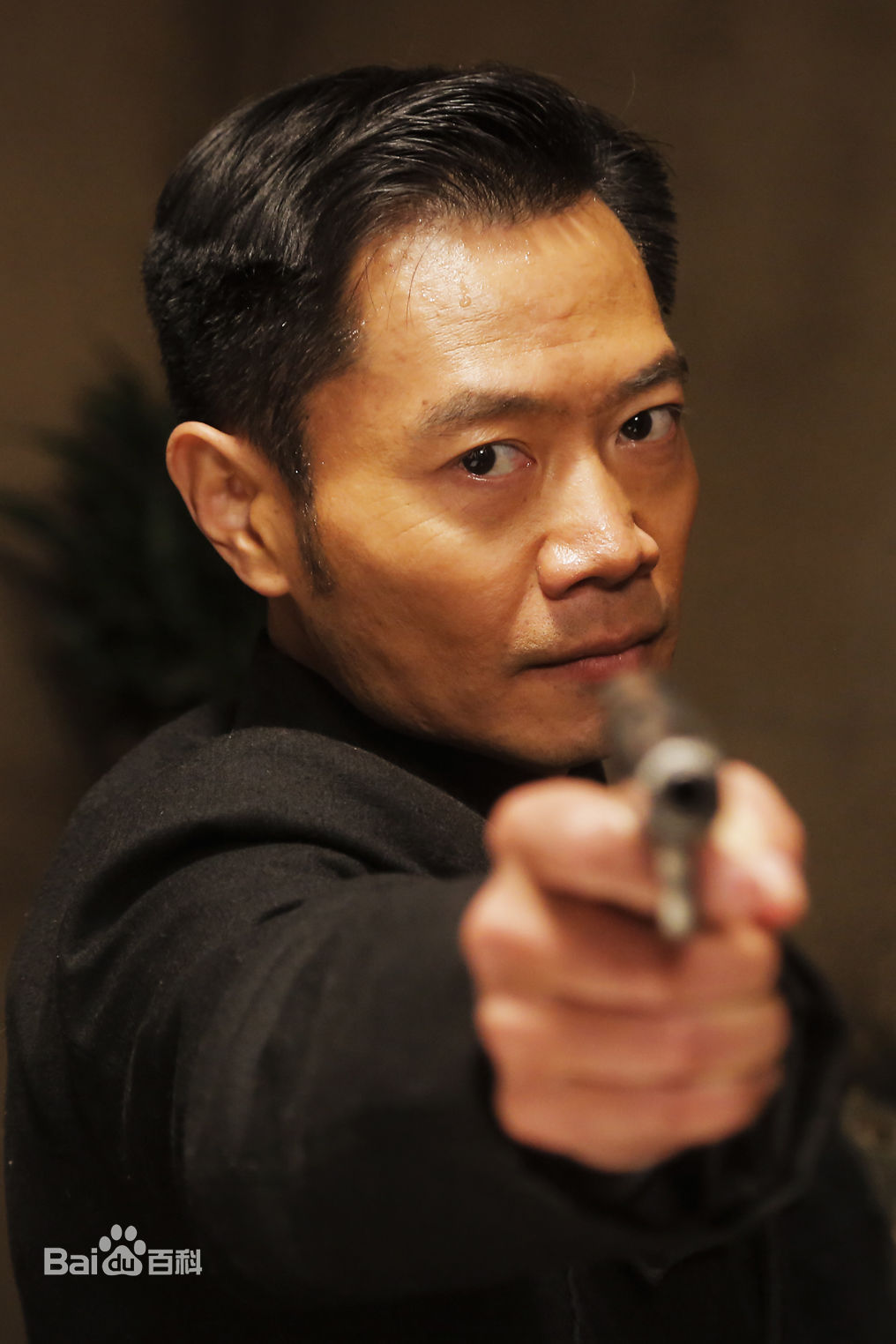 何强我的图册图册