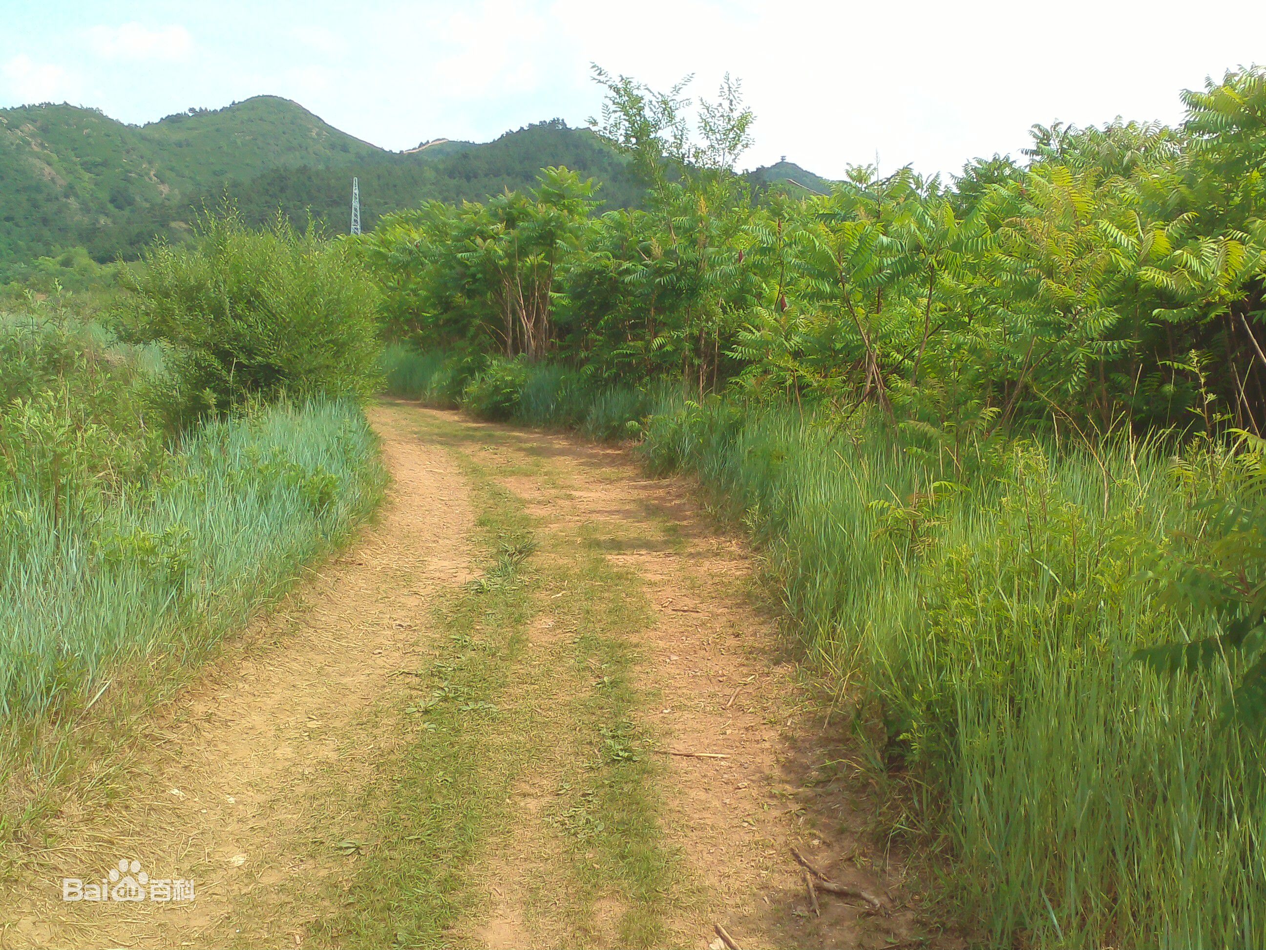夏季(summer)前后照片