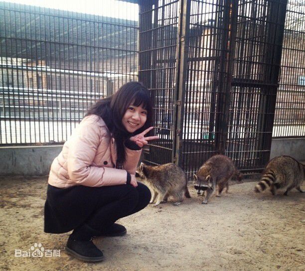 精选盛瓅尹（王乐）、盛利、盛瓅