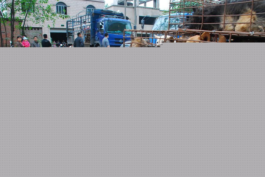 田璐菡(Tina)影视高清剧照和活动【部分】