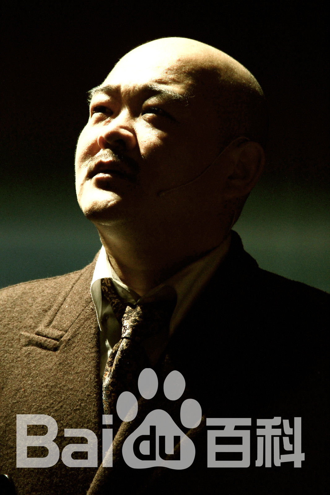 高清王鹤鸣在《如梦之梦》图片中的图集