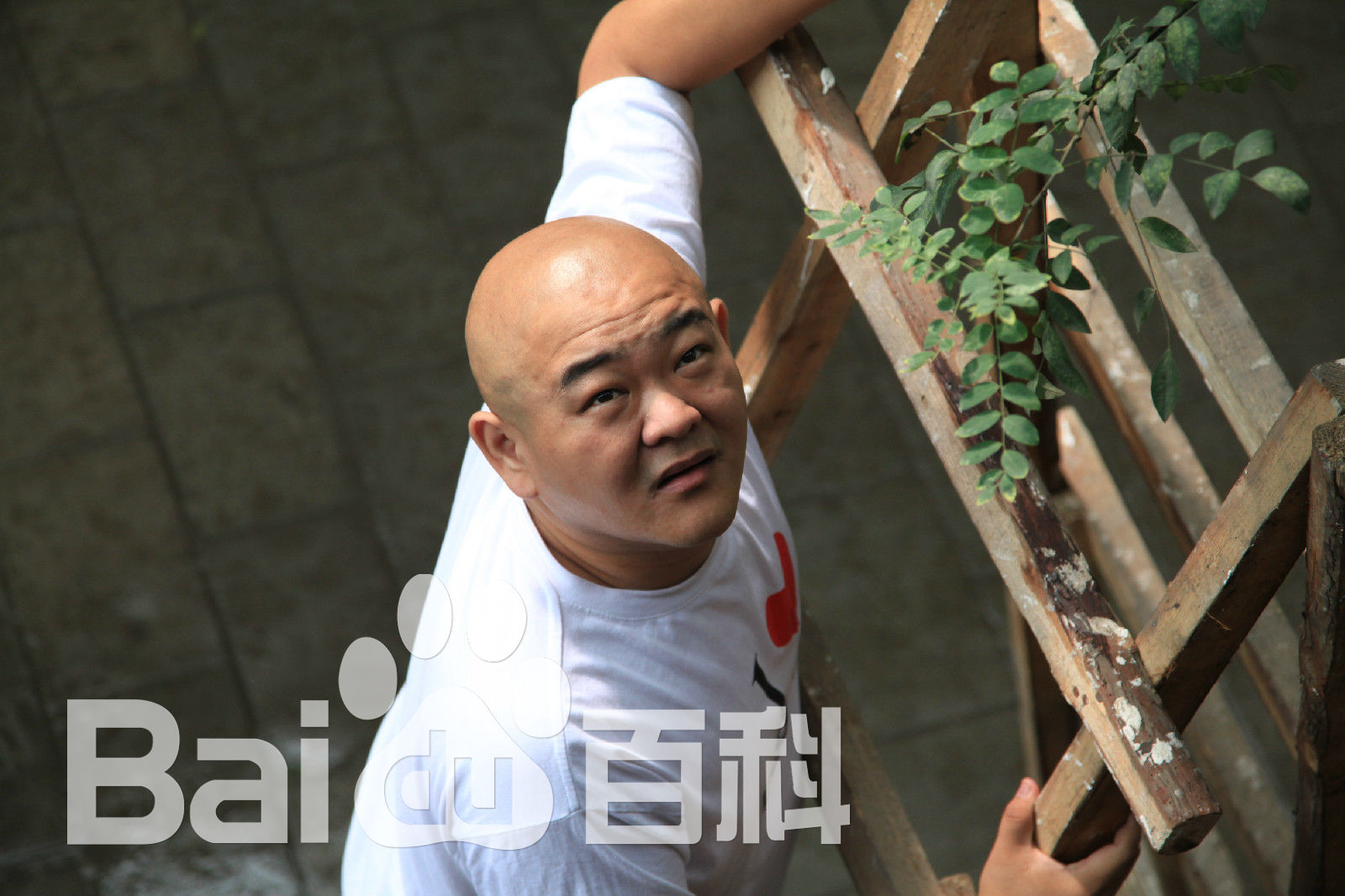 王鹤鸣《岳父也是爹》最新剧照