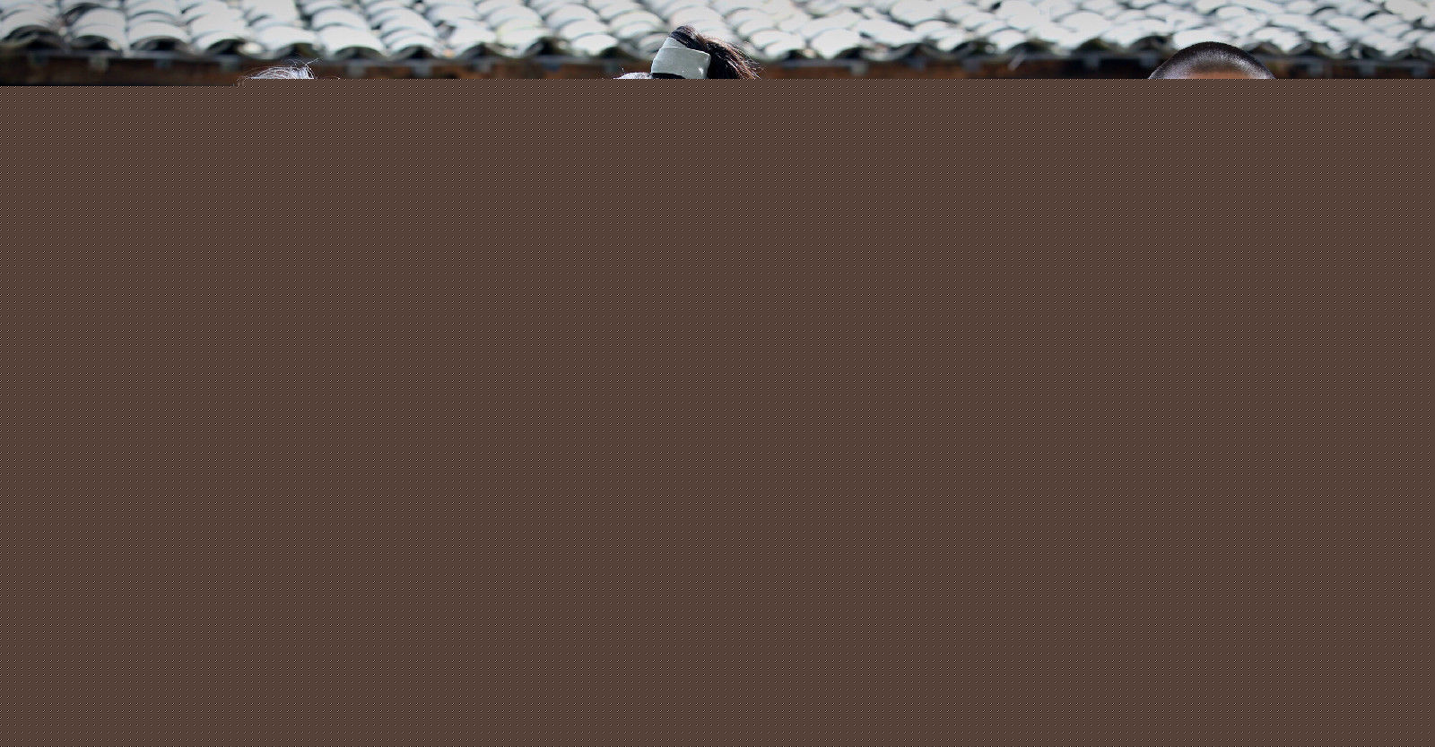 王鹤鸣少林寺藏经阁壁纸壁纸