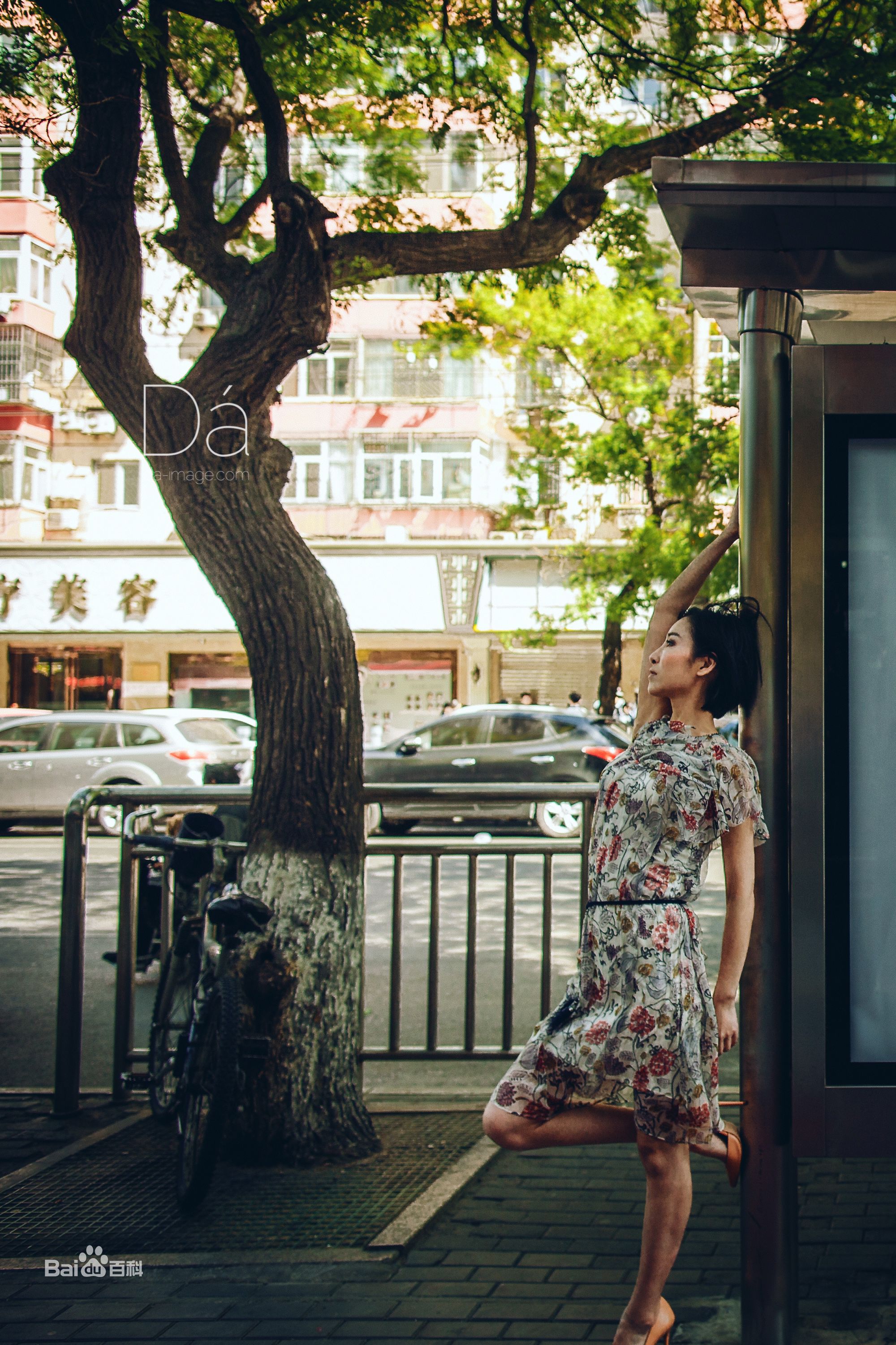 杨卿(Yoki)精选图册