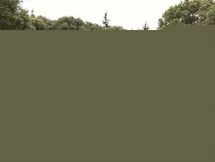 杨卿(Yoki)最全剧照