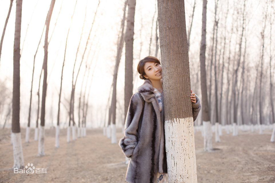 游乐儿(YOYO)民国