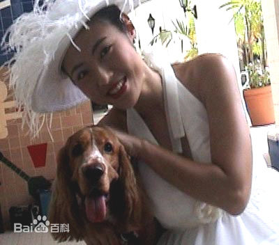 许美珍前后照片