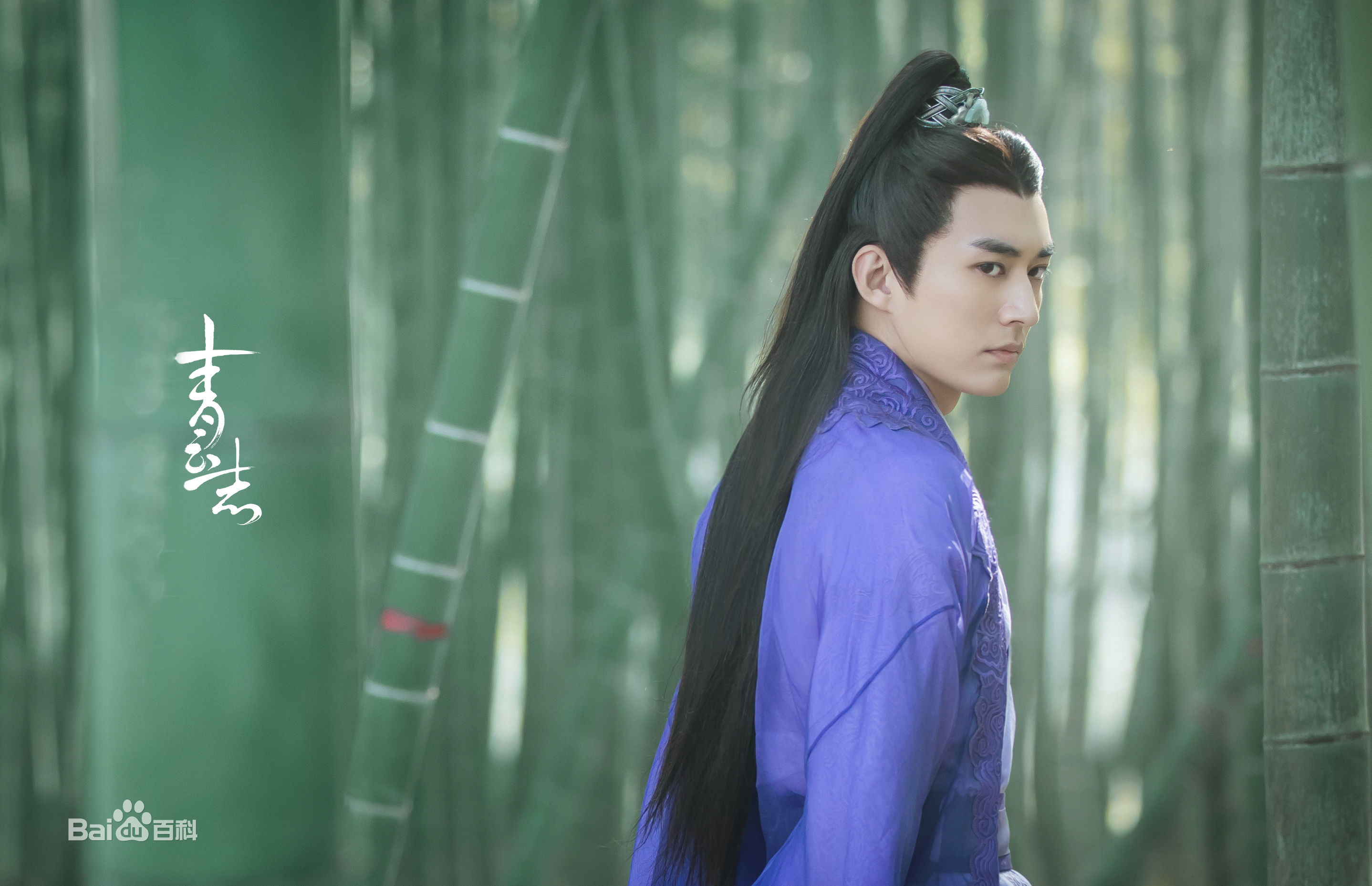 刘学义《青云志》最优质剧照