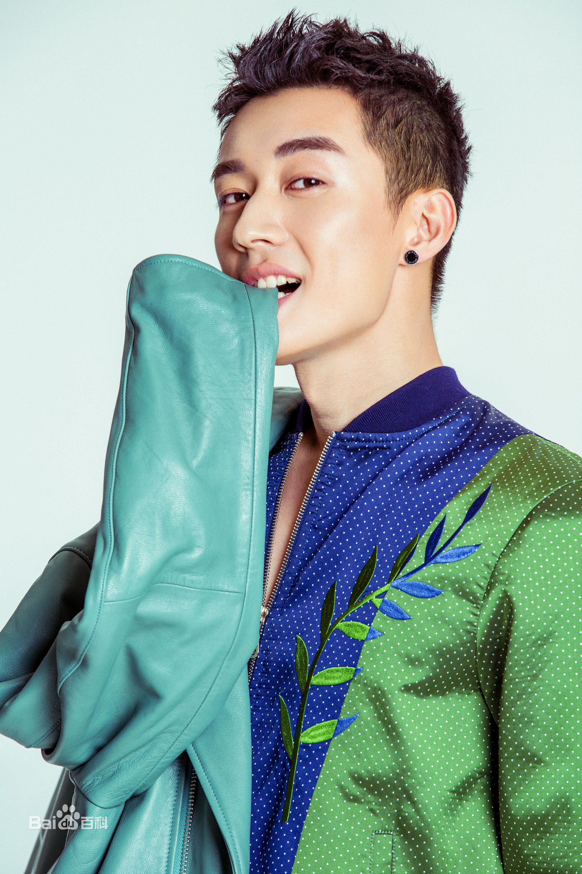 刘学义最全壁纸