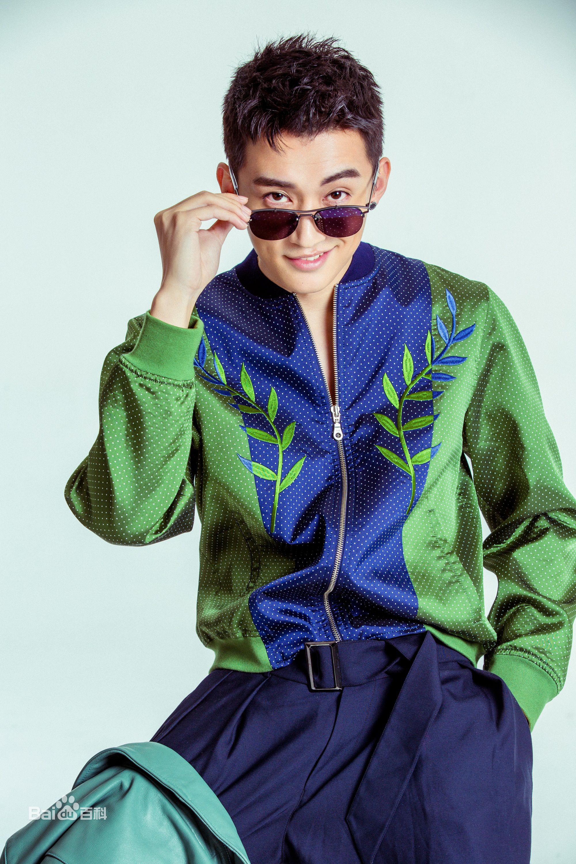 刘学义最全壁纸