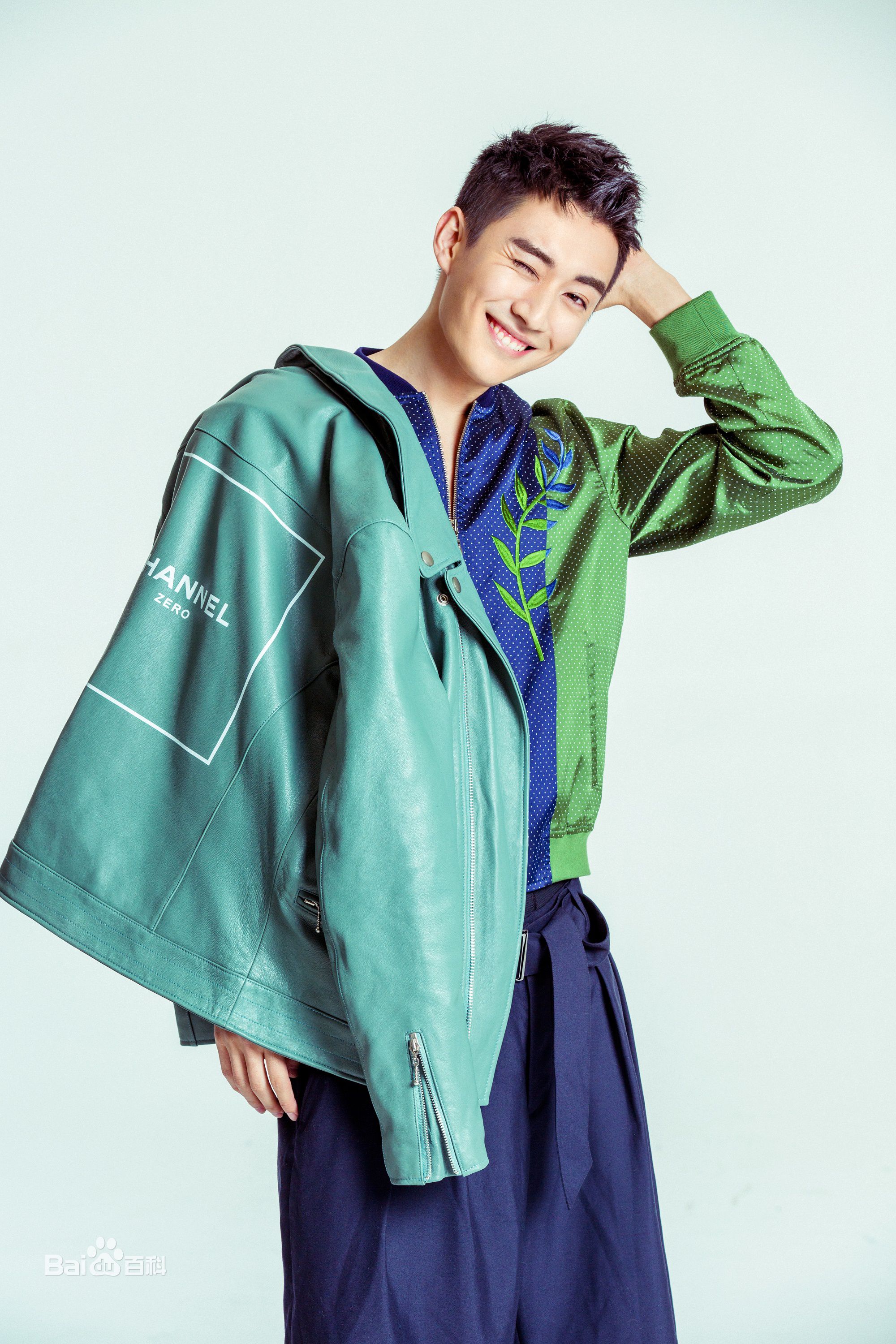 刘学义最全壁纸