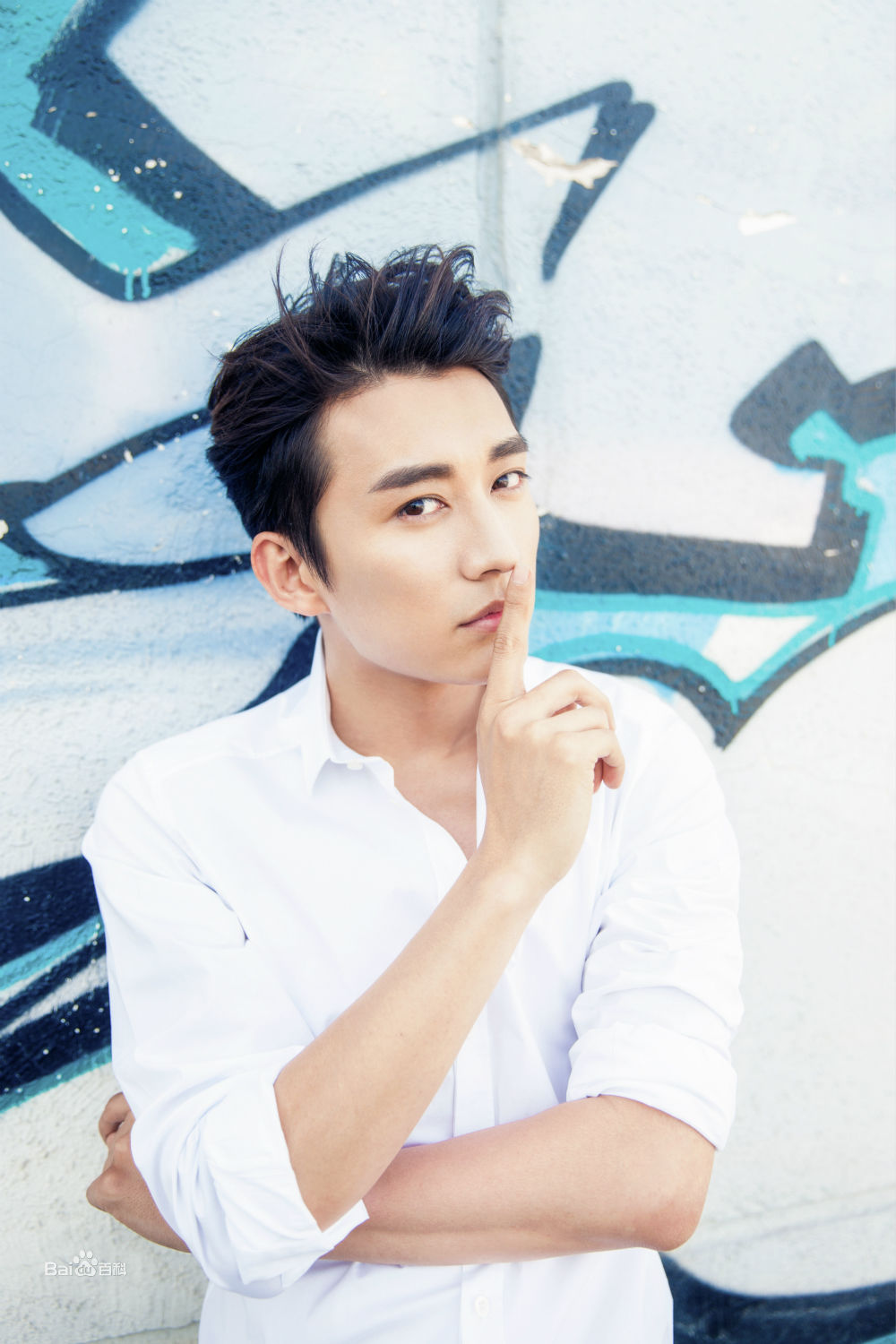 刘学义最全壁纸