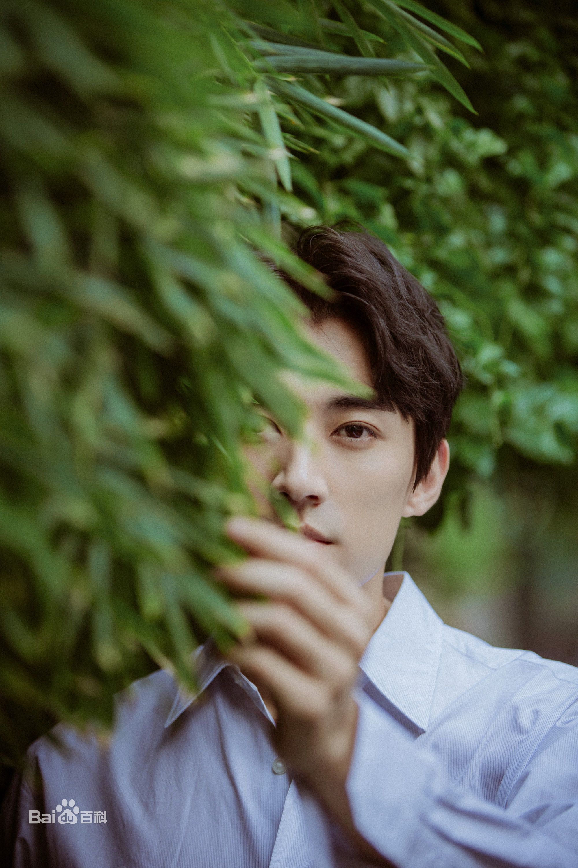 刘学义最新街拍壁纸