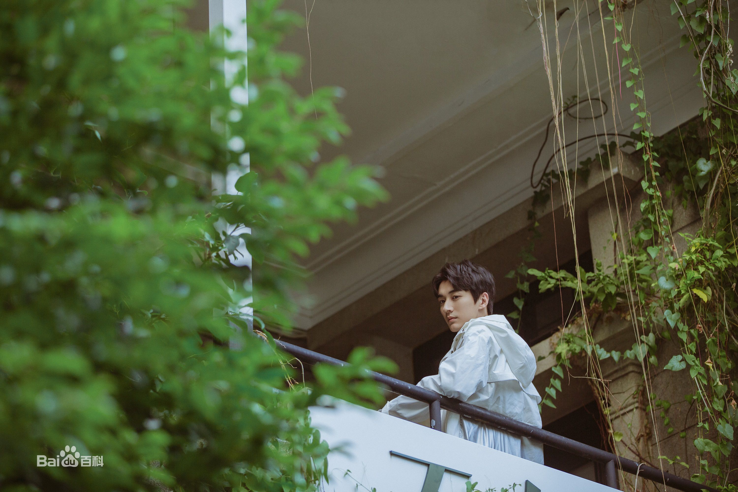 刘学义最新街拍壁纸