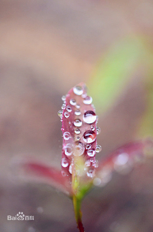 最优质庄庆宁生活照