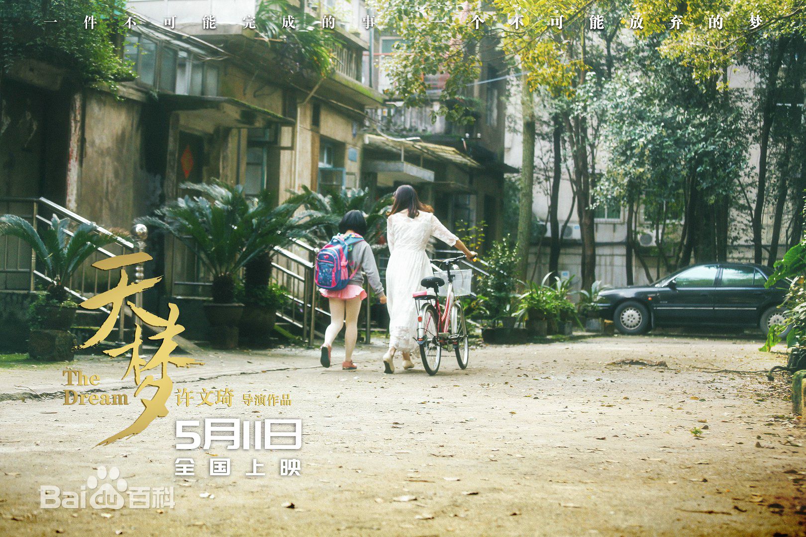 许文琦天梦素颜照相册