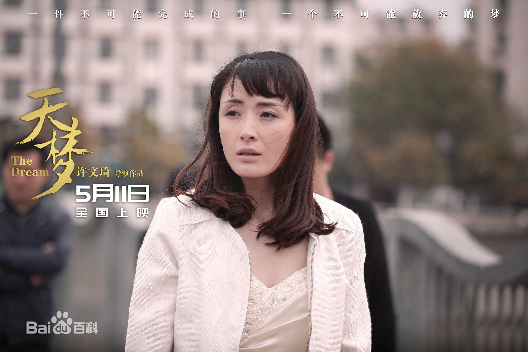 许文琦天梦素颜照相册