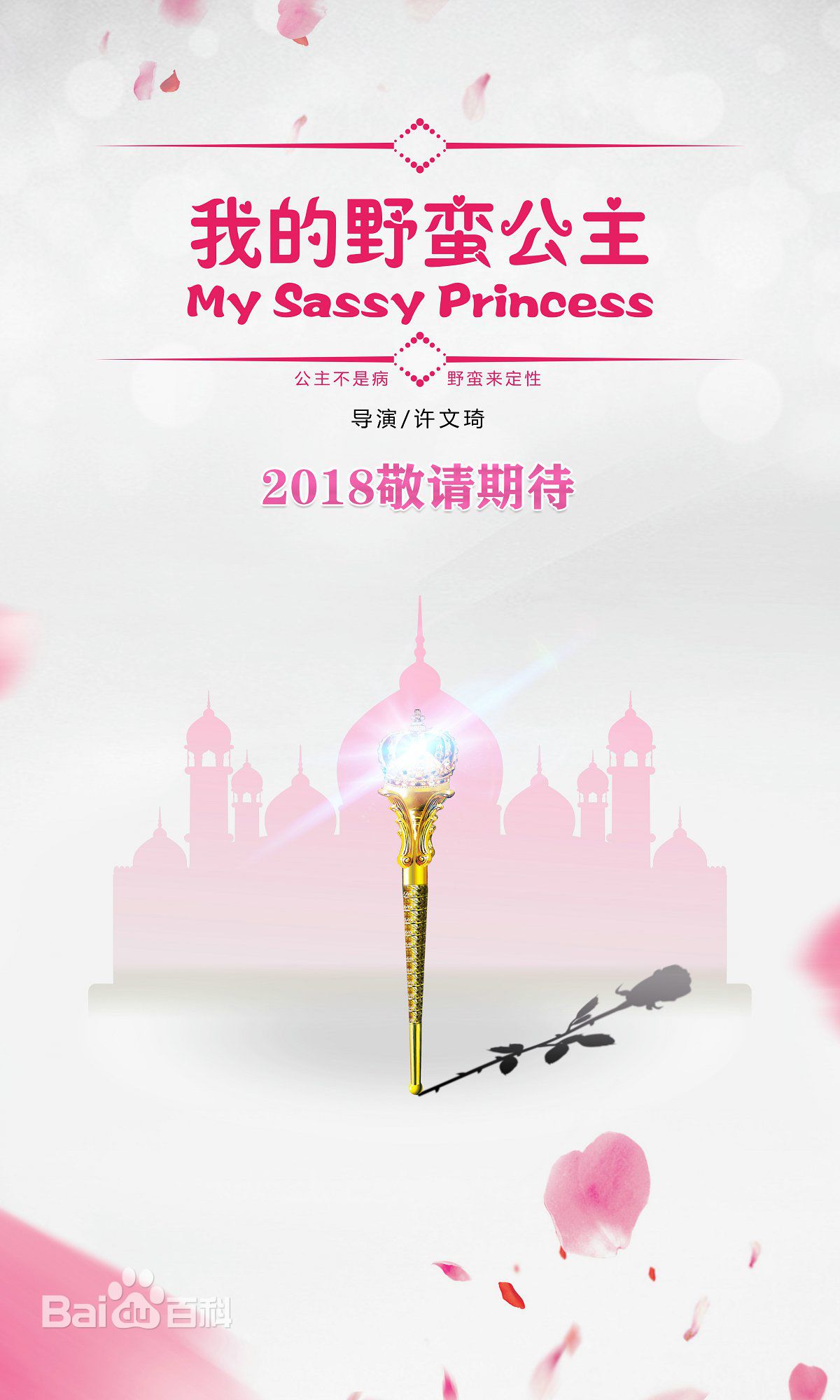 许文琦天梦素颜照相册