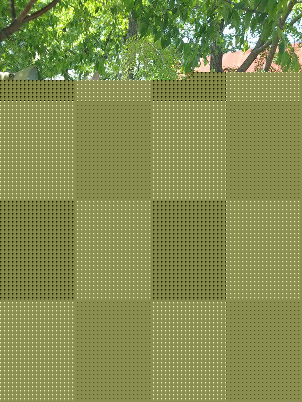 屠夏岩(Tom)高清剧照