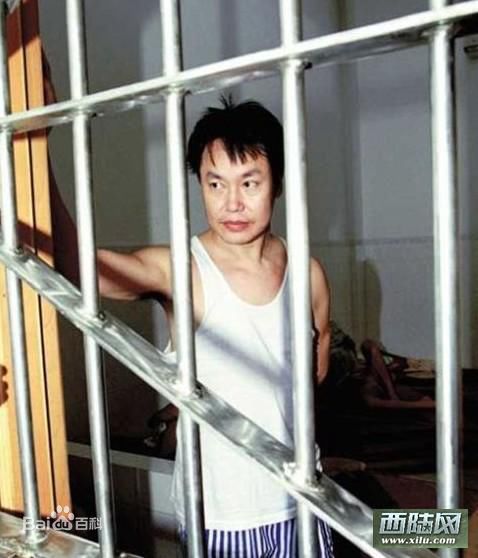 最全张子强壁纸