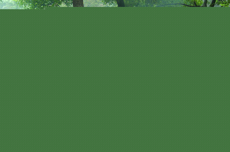 金晶代号十三钗（顾亚男）素颜照相册