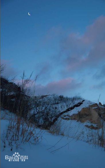 袁茵(Angela)拍摄的照片生活照