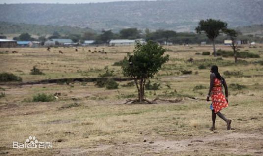 袁茵(Angela)拍摄的照片生活照